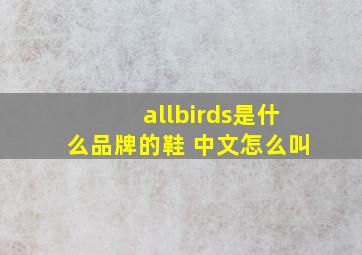 allbirds是什么品牌的鞋 中文怎么叫